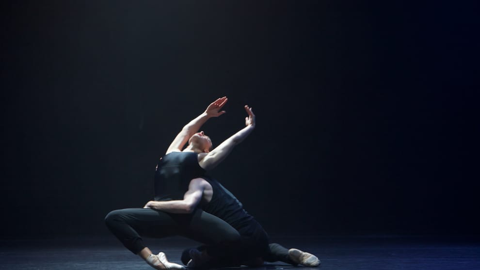 Photo: Fiona Cullen