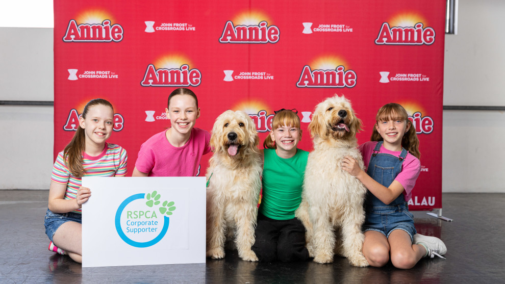 The Sydney season's Annies, with the two pups playing Sandy.