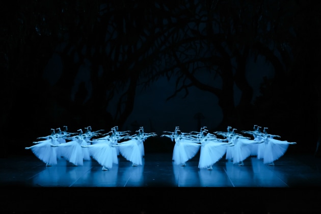 Tokyo Ballet is visiting Melbourne with 'Giselle'. Photo: Kiyonori Hasegawa.