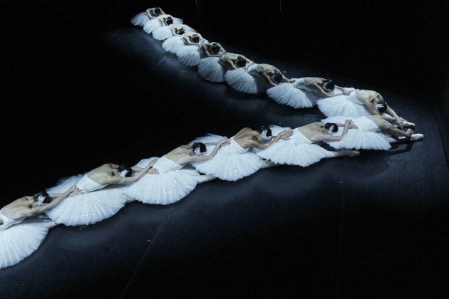 TAB Swan Lake. Image Pierre Toussaint