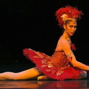 Leanne Benjamin as the Firebird in 2006.  Photo: Dee Conway.