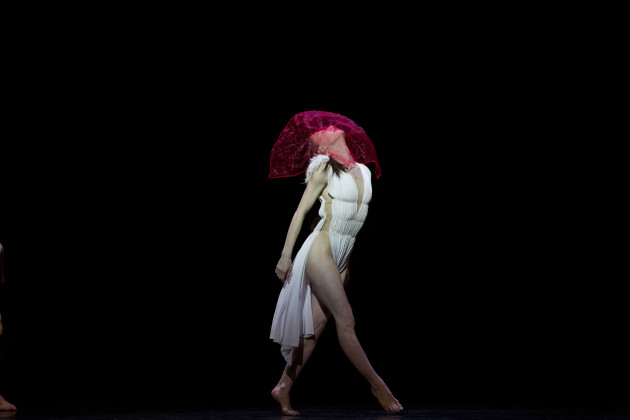 Photo: Yang Wang