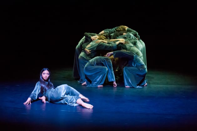 NZSD 2