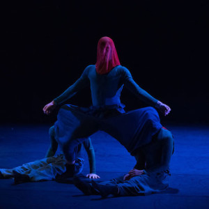 Cnoditions Of Entry by Thomas Bradley. Photo: Stephen A'Court.