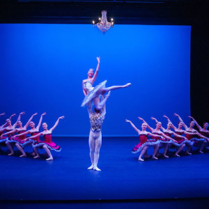 Paquita. Photo: Stephen A'Court.