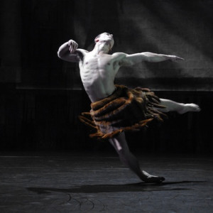 Paul White in Meryl Tankard's The Oracle.  Photo: Regis Lansac.