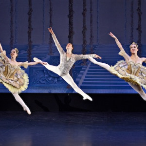 Paquita. Photo: Belinda Strodder.