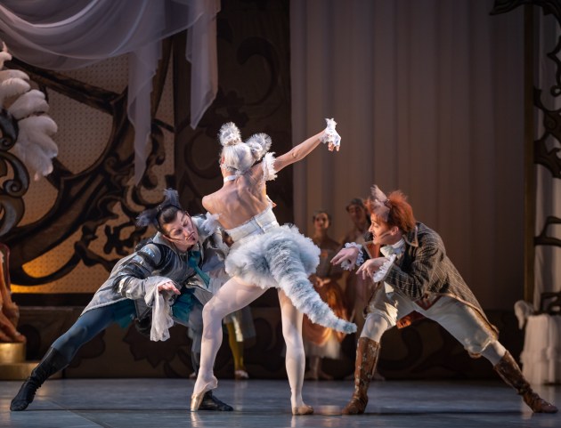 Adam Alzaim as Street Cat, Claire Voss as the White Cat and Christian Luck as Puss in Boots. Photo: Bradbury Photography.
