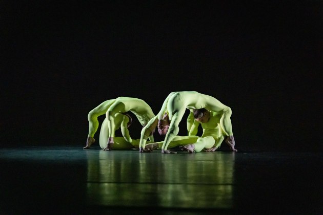 ADC's Three. Images by David Kelly