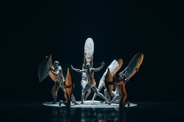 Bangarra male ensemble performing an excerpt from 'Terrain'. Photo by Kate Longley.