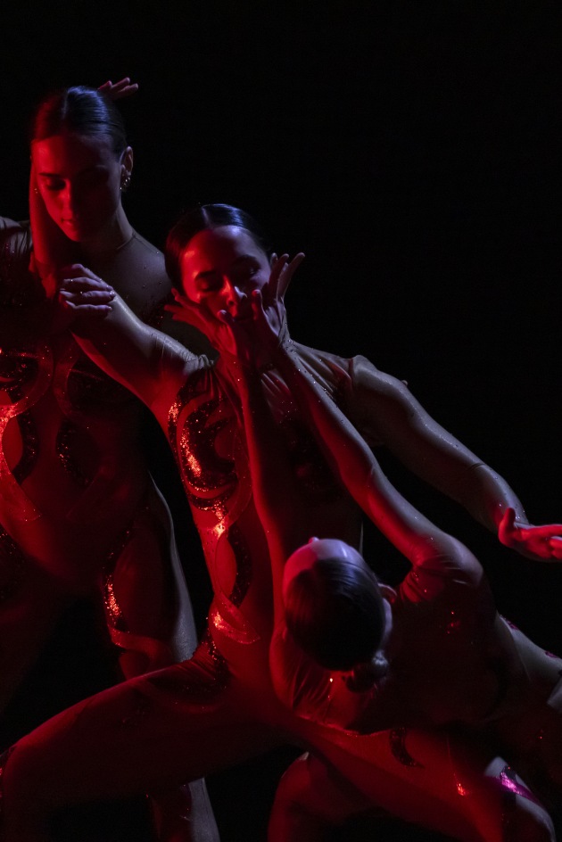 'HALF IN/HALF OUT', choreographed by Dean Elliott. Photo by Pedro Greig.