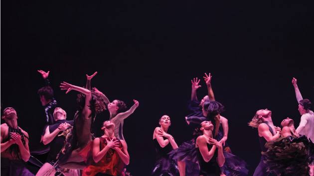 Sydney Dance Company 2026 Season