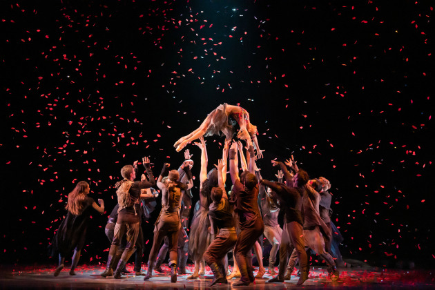 The Firebird. Photo by Stephen A'Court
