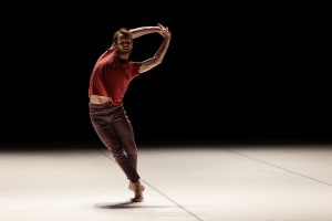 REVIEW: SDC & BANGARRA