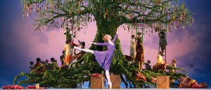 COMING SOON! The QPAC International Series!