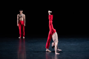 REVIEW: New Zealand School of Dance
