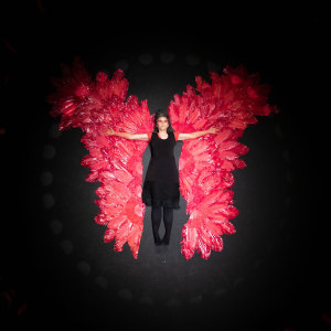 Fine Line's 'Firebird' on-line