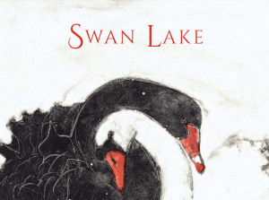 'Swan Lake' children's book