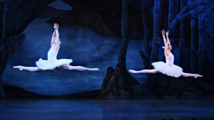 Swan Lake reimagined