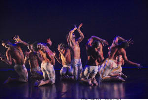 NAISDA celebrates 40 years