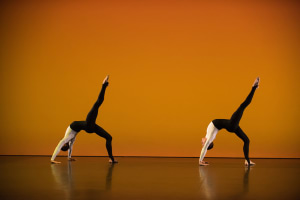 A feast of dance for Perth