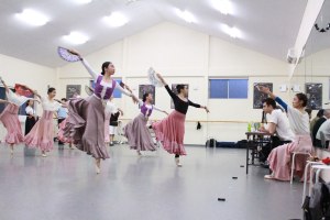 Melbourne City Ballet folds