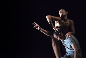 DANCE MASSIVE: 'SPLIT' and 'ANTI-GRAVITY'