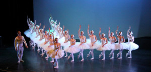 Job opportunity: Director Graduate College of Dance (WA)