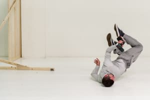 Instinct, animality and catastrophe in Assemblage