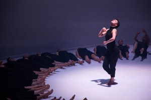 Stephanie Lake Company: Colossus 