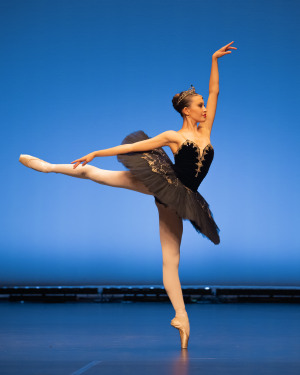 Entries open soon for the Alana Haines Awards