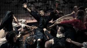 Watch Perth's Co3 Contemporary Dance at home!
