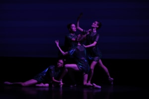 Dancing on Dry Ground: Claire Voss&rsquo;s Signal-30