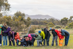 Dance for the climate 