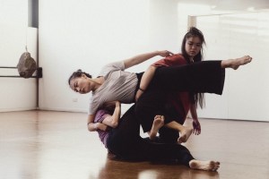 Apply for Sunshine Coast residency