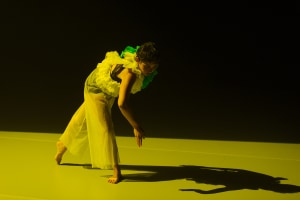Review: Lucy Guerin Inc's 'Flux Job' 