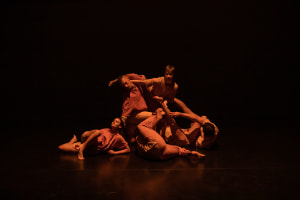 Australasian Dance Collective new on-line suite