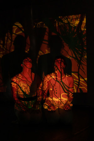 New dance festival launched in Brisbane