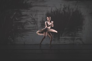 Perth Festival: Swan Lake, The Nature of Why, Giselle