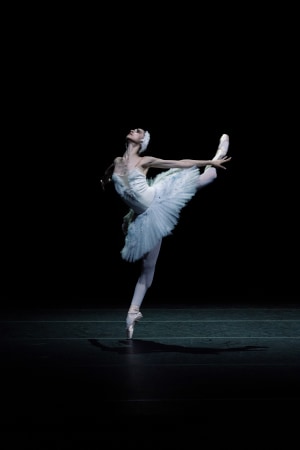 REVIEW: Sydney International Ballet Gala