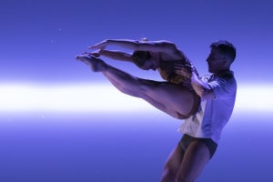 REVIEW: SDC 'Impermanence'