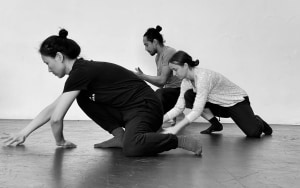 Force Majeure masterclass in Brisbane