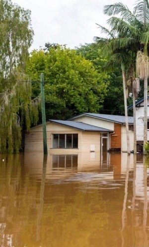 Dance schools ruined in floods