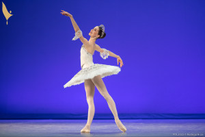 Meet Amy, Prix de Lausanne scholarship winner