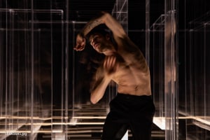 REVIEW: Brisbane Festival 'Salamander'
