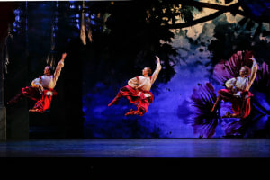 The Australian Ballet: The Nutcracker 