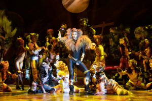 More 'Purr-fect' Cast Announced for CATS 40th Anniversary Tour.