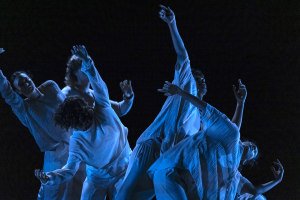 REVIEW: SDC's 'New Breed'
