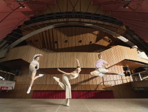 SDC's new triple bill 'ascending' soon!