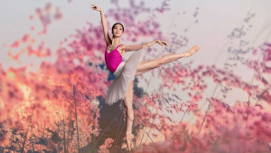 Telstra Ballet Award winners announced